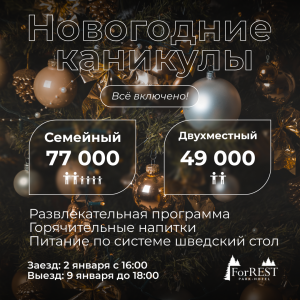 бронирование на Новогодние каникулы бронирование на Новогодние каникулы